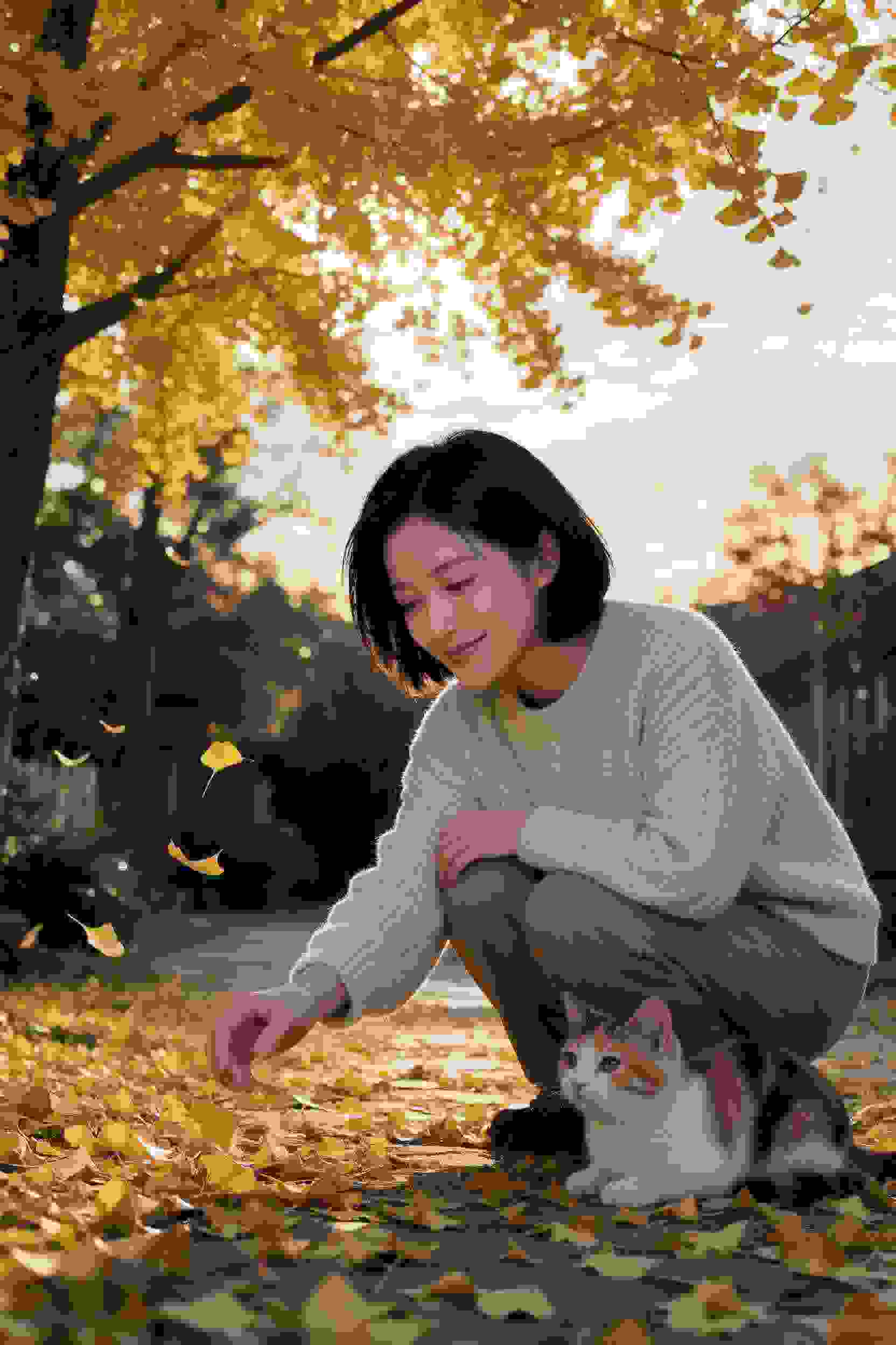 动漫作品1
